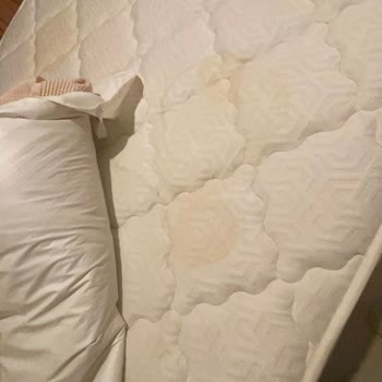 Yataş'In İlgisizliği Sıvı Geçirmez Alez Yatağımı Rezil Etti