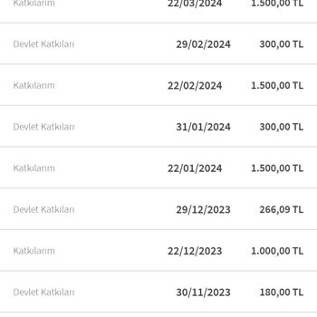 Agesa Devlet Katkısı Yansıtma Hatası