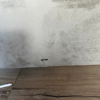Vivense Geç Teslimat Hasarlı Ürün Geç Ürün Üretimi