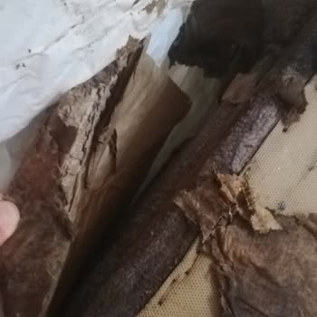 Doğtaş Teslimat Sorunu: Beklentiler Karşılanmadı