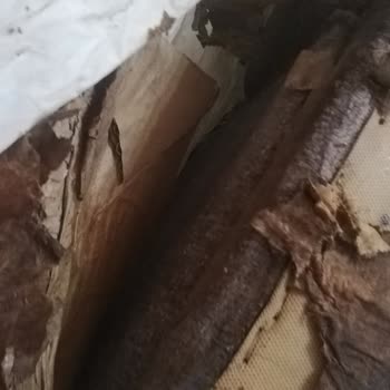 Doğtaş Teslimat Sorunu: Beklentiler Karşılanmadı