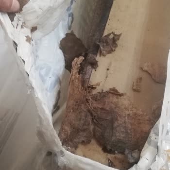 Doğtaş Teslimat Sorunu: Beklentiler Karşılanmadı