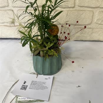 Taze Çiçek (tazecicek.com) Hayal Kırıklığına Uğratan Çiçek Teslimatı