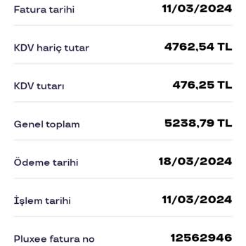 Pluxee Türkiye Ödeme Yapma Zorluğu