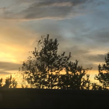 Dyson Beni Mağdur Etti