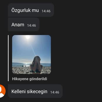 Connected2.me Connected2 Hakaret İçeren Mesajlar