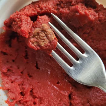 Olca Salçanın Küflü Çıkması