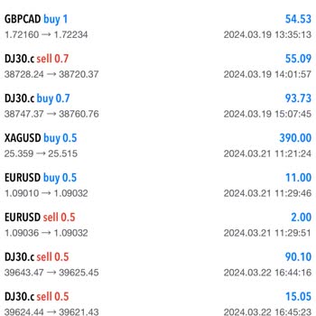 Bono Investment Forex'te Beklenmedik Engeller Ve Çözüm Arayışı