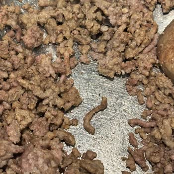 Migros Et Kasap Ef Et Değil