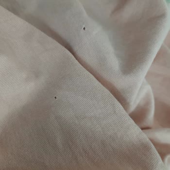 Siemens Ev Aletleri Çamaşır Makinesi Çamaşırları Deliyor Ve Servis Kalitesizliği