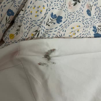 Penti Defolu Ürün Gönderimi