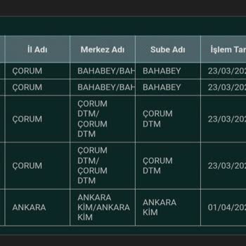 Ahlatcı Kuyumculuk Trendyol Ahlat Kuyumculuktan Verdiğim Siparişe PTT Kayıp Dedi
