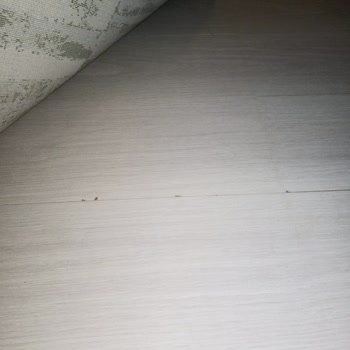 Yıldız Entegre Laminantlarda Dalgalanma Ve Bombelenme Sorunu