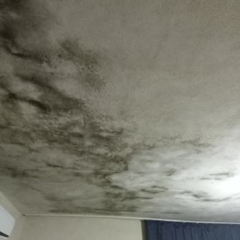Aile ve Sosyal Hizmetler Bakanlığı Maddi Yardim İstiyorum