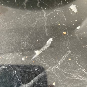 Yardımcı Peynirleri Yardımcı Peyniri Cam Parçası Çıktı