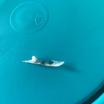 Yardımcı Peynirleri Yardımcı Peyniri Cam Parçası Çıktı