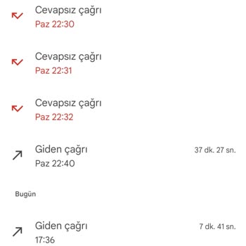 THY Evcil Hayvan Pet Kabini Sorunu!