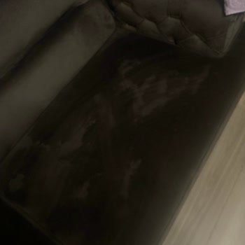 Vanish Kosla Koltuk Leke Çıkarıcı