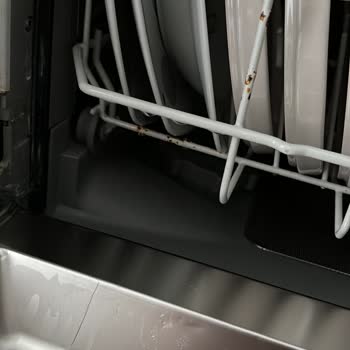 Bosch Kalite Beklentisi Ve Sağlık Kaygısı: Paslanan Bulaşık Makinesi