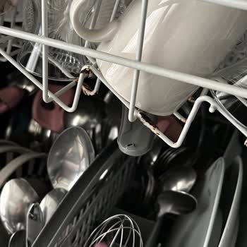 Bosch Kalite Beklentisi Ve Sağlık Kaygısı: Paslanan Bulaşık Makinesi