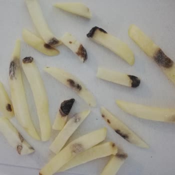 BİM Küflü Dondurulmuş Patates