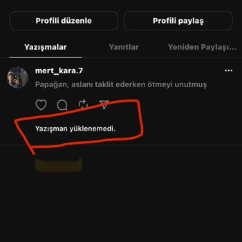 Threads Yazı Paylaşım Hatası