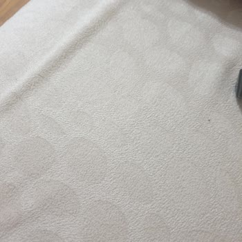 İade Süreci Hakkında, Shapelys