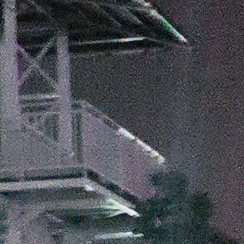 Bursa Hayvanat Bahçesi Alın Şu Gergedanları Halkın Can Güvenliği Tehlikede