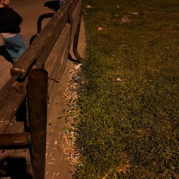 İBB - İstanbul Büyükşehir Belediyesi Ziya Gökalp Park Sorunu