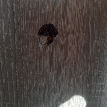 Evkur Alışveriş Mağdur Edilmek Kendi Paramızla Rezil Olmak