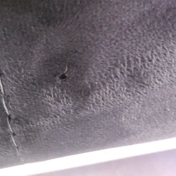 Mirbel Koltuk İzmir Paramızı Peşin Aldı Ürünleri Değil