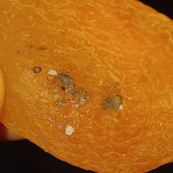 Migros Perfect Delights Kuru Kayısının İçindeki Yabancı Maddeler