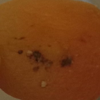 Migros Perfect Delights Kuru Kayısının İçindeki Yabancı Maddeler