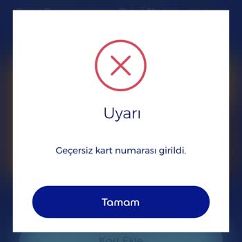Ticket Restaurant Geçesiz Kart Numarası