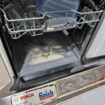 Bosch Para Uğruna İtibarını Kaybetmek Diye Buna Denir.