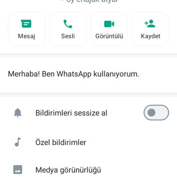 WhatsApp Üzerinden Yabancı Numaradan Arama
