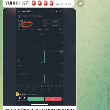 Telegram Yatırım Yapılan Sahte Coin Mağduriyeti