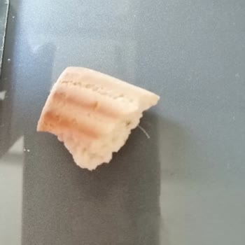 Eti Cici Bebe İçinden Çıkan Plastik