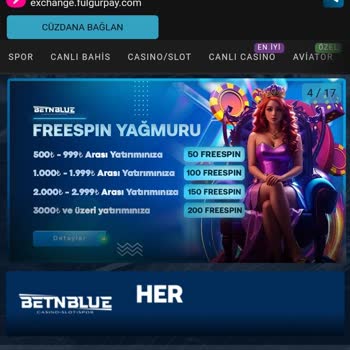 Betnblue Sitesinde Yaşanan Erişim Ve Destek Sorunları