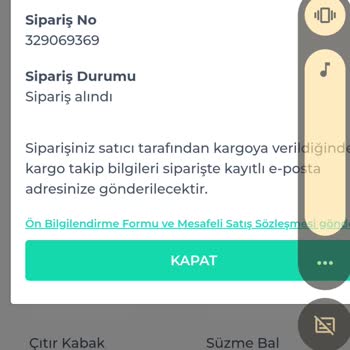 Shopier Den Alınan Ürün Gelmedi