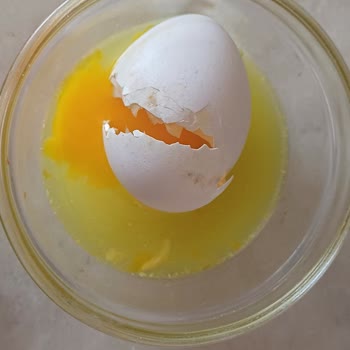 Lele Yumurta Yumurta Sorunları Ve Müşteri Hizmetleriyle Yaşanan Zorluklar