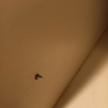 Sports International Spor Salonunda Güvenlik Sorunu Ve Hizmet Kalitesi Düşüklüğü