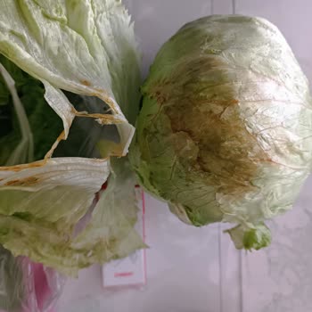 Migros Çürük Mal Göndermiş Kalan Paramıda Yatırmadı
