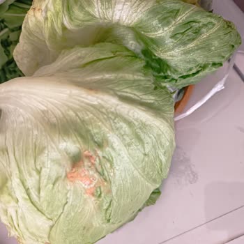 Migros Çürük Mal Göndermiş Kalan Paramıda Yatırmadı