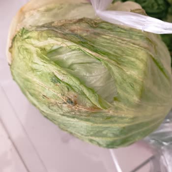 Migros Çürük Mal Göndermiş Kalan Paramıda Yatırmadı