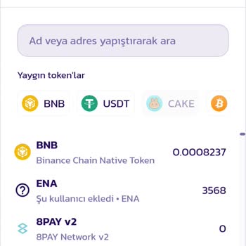 Kripto Pancakeswap Ön Satış