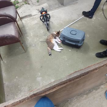 İBB - İstanbul Büyükşehir Belediyesi Prosedür İhlali Ve Uygun Olmayan İşlem