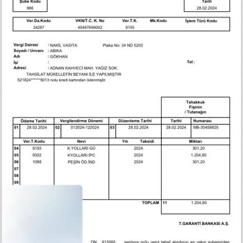 Gelir İdaresi Başkanlığı Ödenmiş Trafik Cezası Tekrar Çıkıyor