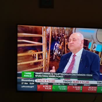 Vatan Bilgisayar Vatan Bayisinden Aldığım Televizyonda Ortasında Cizgi Var