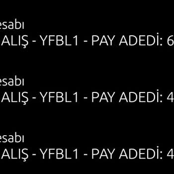 Yapı Kredi Blokeli Fon Payı